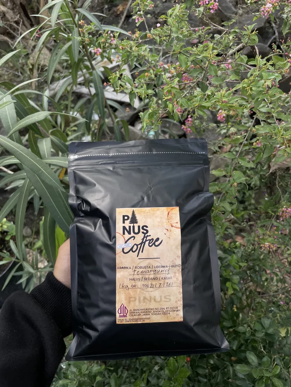 Kemasan hitam Pinus Coffee di taman